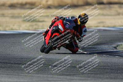 media/Oct-29-2023-Carters at The Track (Sun) [[b2bb4383ab]]/B Plus/1020am (Sunrise)/